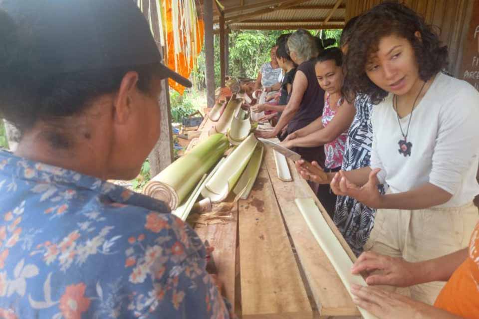 <div style="
                font-size: 18px;
                font-weight: bold;
                color: #0073aa;
                margin-bottom: 5px;
                text-transform: uppercase;
            ">SUSTENTABILIDADE</div>Mulheres de Nova Conquista iniciam produção sustentável com fibra de bananeira