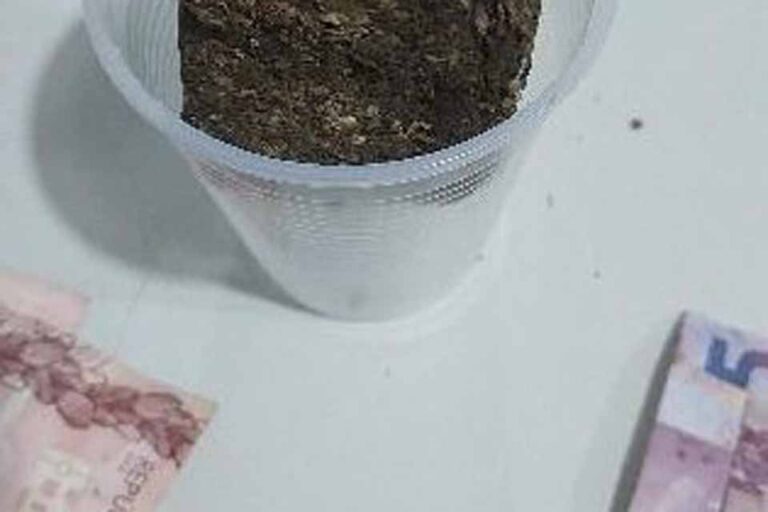 Polícia Militar prende dois homens após disparos que feriram mulher em Porto Velho
