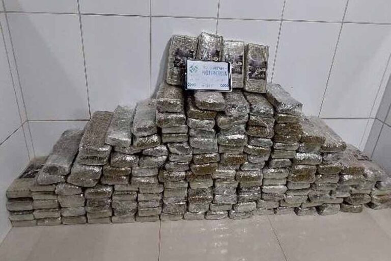 Ação integrada em Cacoal resulta na apreensão de 142 quilos de maconha