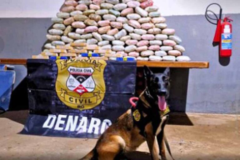Polícia Civil de Rondônia realiza apreensão de drogas e armas em Porto Velho