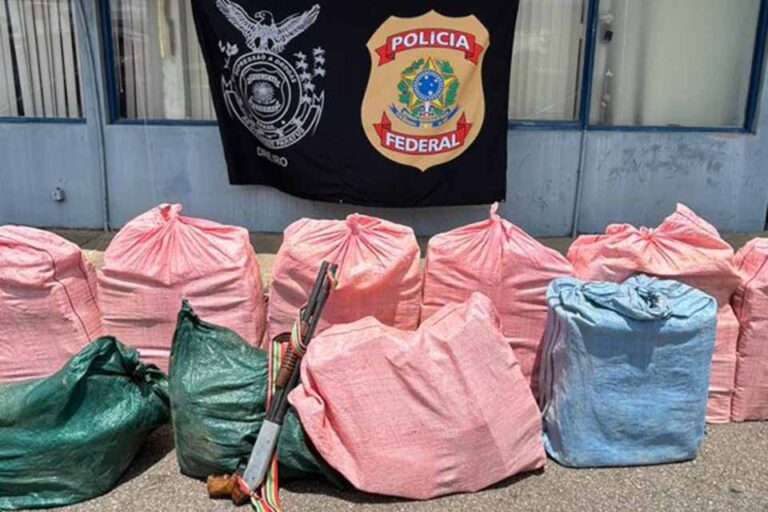 PF apreende aeronave com meia tonelada de droga em Machadinho d’Oeste