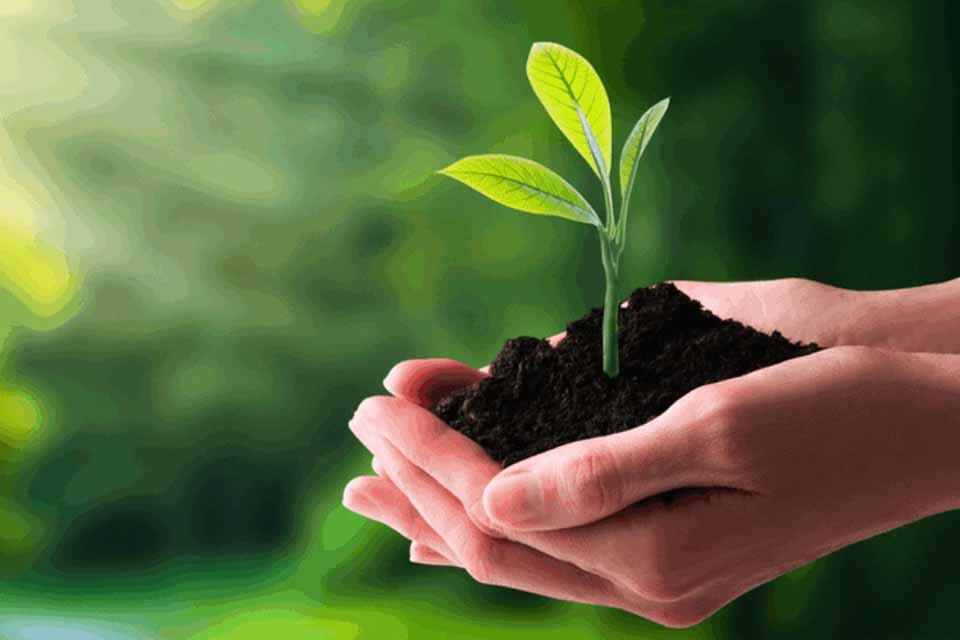 Curso online orienta servidores do TCE-RO sobre mudanças climáticas