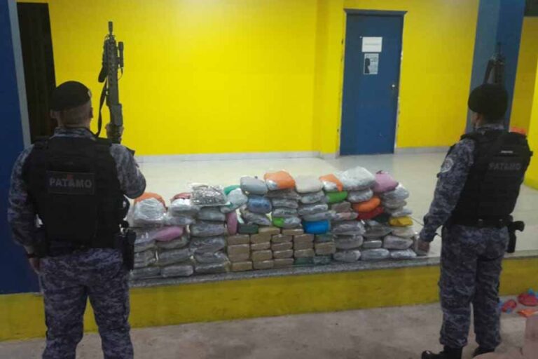 Mais de 68 quilos de skunk são apreendidos em ação integrada da PRF e PMRO em Pimenta Bueno