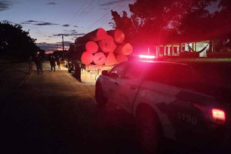 Mais de 160 m³ de madeira e 11 caminhões são apreendidos em ação do Ministério da Justiça em Rondônia
