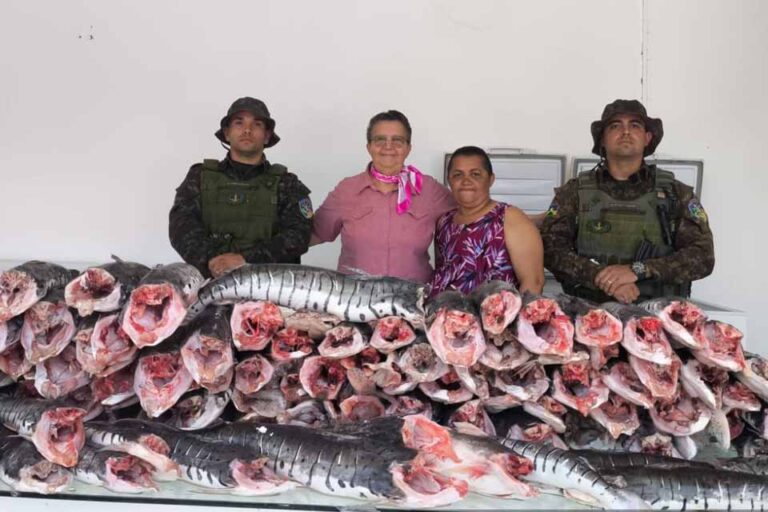 Mais de 200 quilos de pescado irregular são apreendidos em Porto Velho durante Operação Protetor dos Biomas