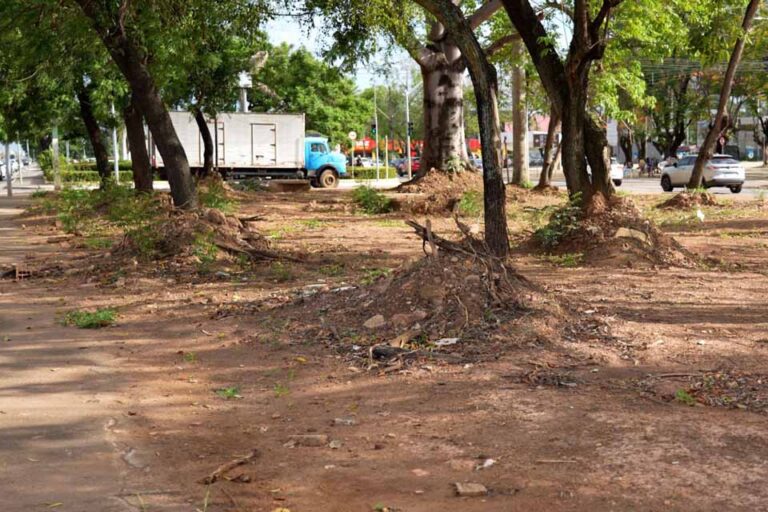 Prefeitura de Porto Velho transforma área próxima à rodoviária em novo espaço urbano