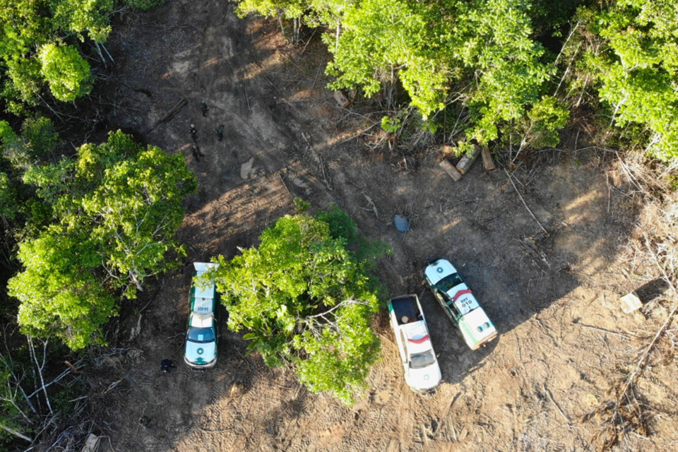 Operação Protetor dos Biomas encerra segunda fase com fiscalizações e apreensões em Rondônia