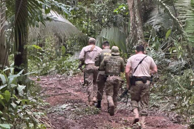 Ação conjunta combate desmatamento na Terra Indígena Igarapé Ribeirão