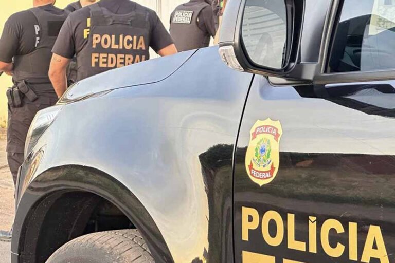 PF realiza Operação Natova para cumprir mandados em investigação sobre extração ilegal de madeira