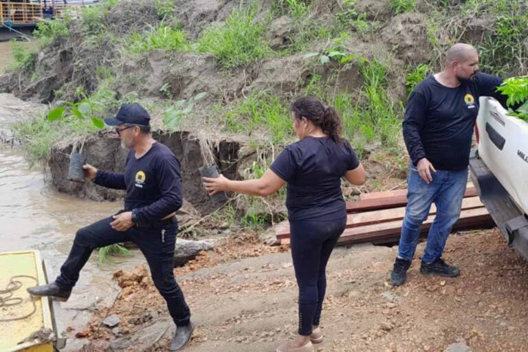 Sema executa ação ambiental no Baixo Madeira para recuperação do microclima
