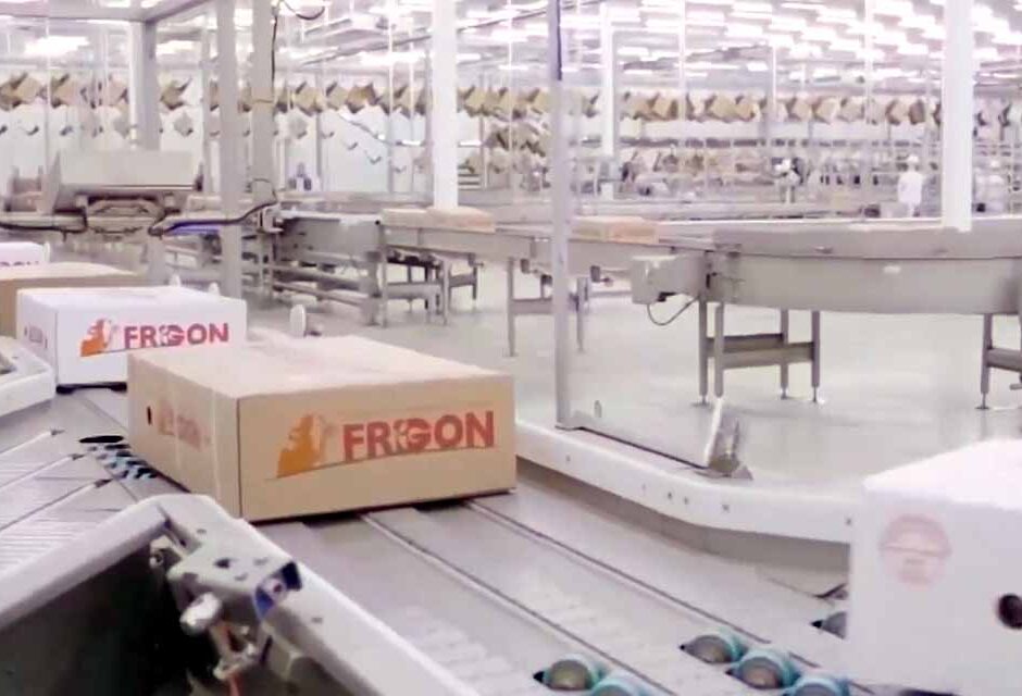 Quase R$ 10 milhões por destruírem a floresta protegida: a sentença que alcançou o Frigorífico Irmãos Gonçalves e dois criadores de gado