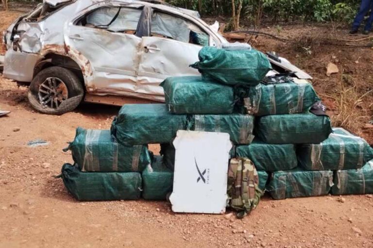 Forças de segurança apreendem 491 kg de drogas na Zona da Mata
