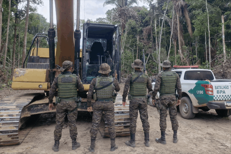 Operação Protetor dos Biomas encerra primeira fase em Rondônia com balanço positivo