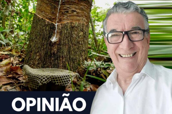 Já se passam 82 anos, desde o incentivo do Banco da Borracha à presença da VERT