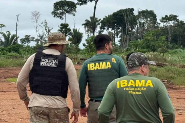 Operação integrada combate garimpo ilegal e extração de madeira em Porto Velho e Nova Mamoré