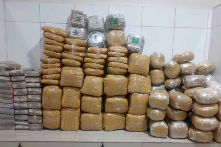 Apreensão de mais de 130 kg de maconha resulta de operação conjunta em Cacoal