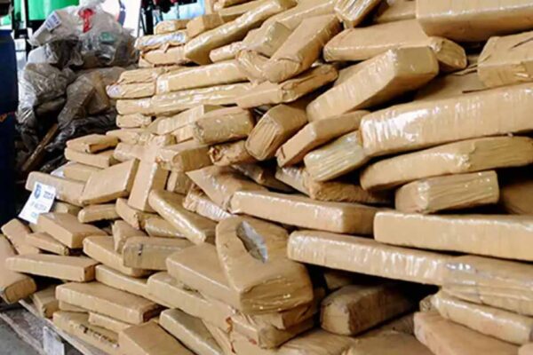 Polícia Civil apreende 144 tabletes de cocaína após interceptar veículo em Jaci Paraná