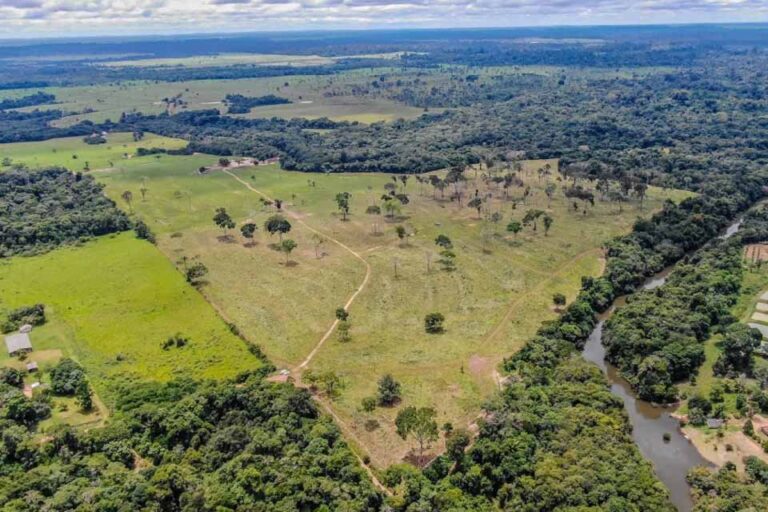 Decreto altera cálculo do ITBI Rural em Porto Velho e reduz base do imposto