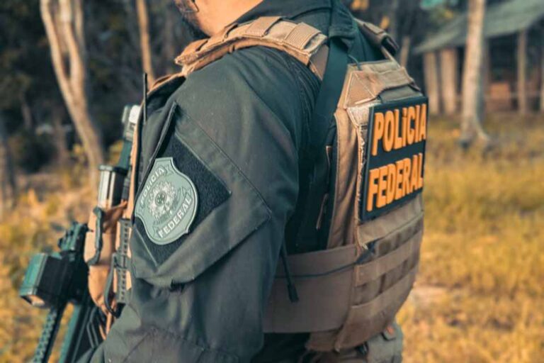 PF e Ibama interditam madeireiras e apreendem madeira irregular em operação em Rondônia
