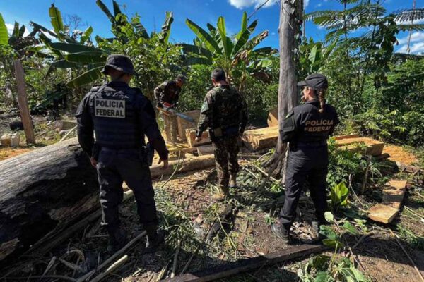 PF cumpre mandados e avança em investigação sobre grilagem e incêndio em terra indígena em RO