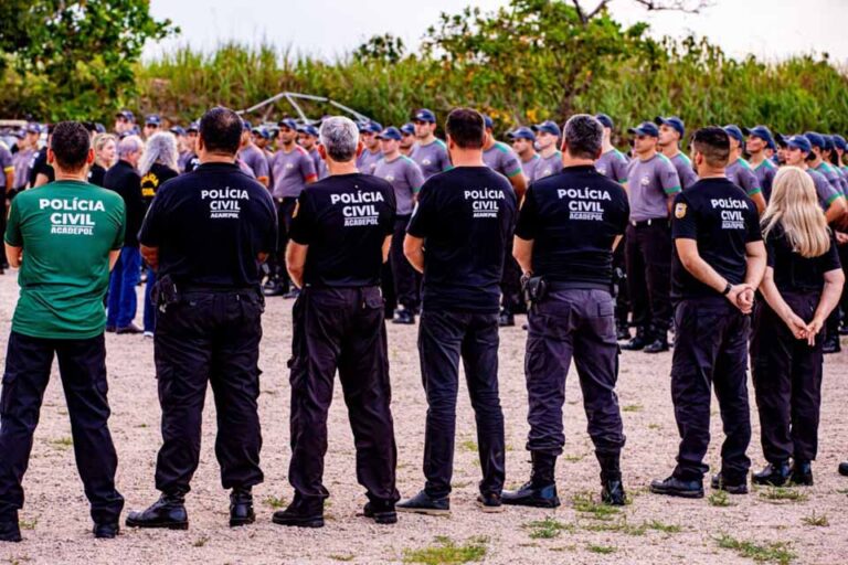 Queda histórica de incêndios em Rondônia em 2025 é registrada após ações da Polícia Civil