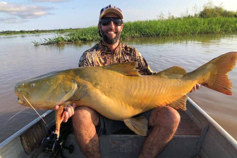 Porto Velho é reconhecida como Capital Nacional da Pesca Esportiva e do Turismo de Observação de Aves