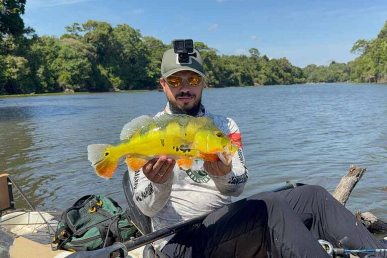 Porto Velho avança para receber título nacional na Pesca Esportiva e Observação de Aves