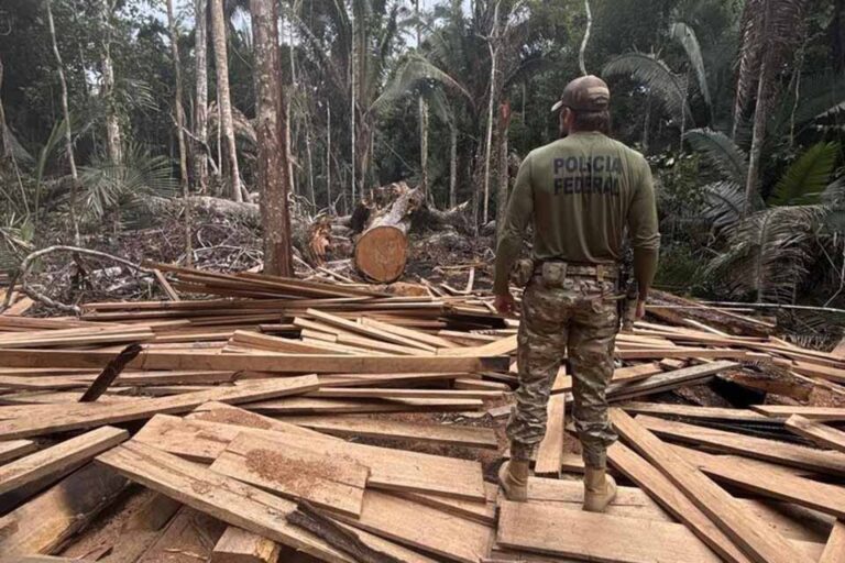 Operação ambiental resulta em autuações e apreensões de madeira em Rondônia