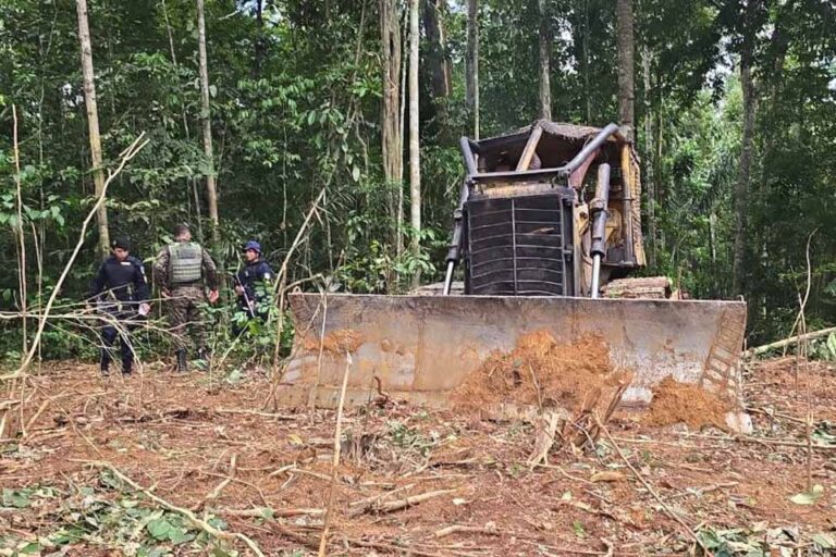 Operação Protetor dos Biomas apreende trator e identifica área desmatada em Candeias do Jamari