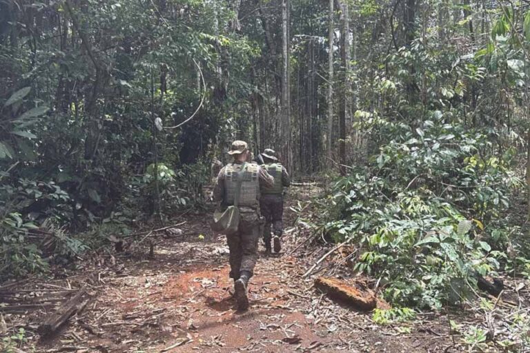 Alero autoriza crédito de R$ 2 milhões para ações integradas de segurança e proteção ambiental em Rondônia