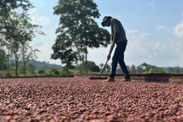 Nova União recebe R$ 67 mil em equipamentos agrícolas destinados por Alan Queiroz