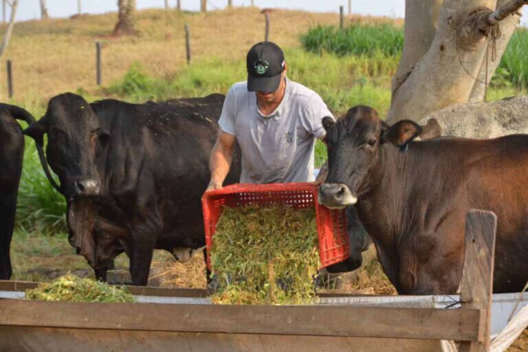 Modernização da Emater-RO amplia assistência técnica e impulsiona agricultura familiar em Rondônia
