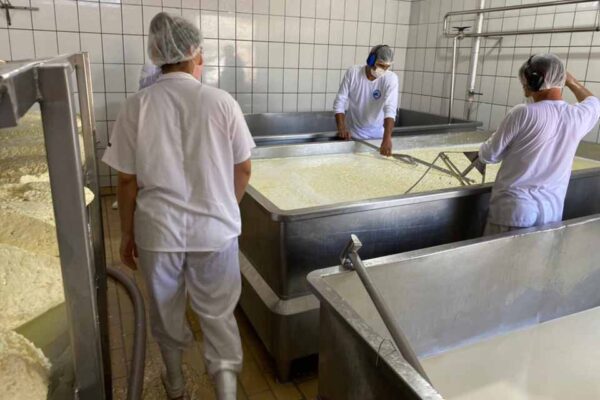 Mais de 2,3 mil vagas são abertas em Rondônia, com destaque para Auxiliar de Linha de Produção