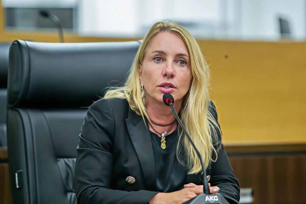 Lei de Ieda Chaves cria tutor voluntário, reconhece animal comunitário e prevê multa por vandalismo em abrigos em RO