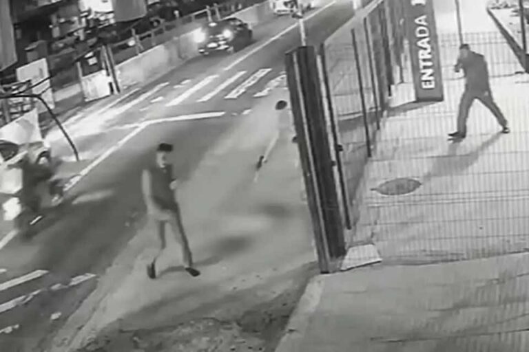 Cachorro é baleado com dez tiros em ponto de ônibus na Zona Leste de São Paulo; caso é investigado pela polícia