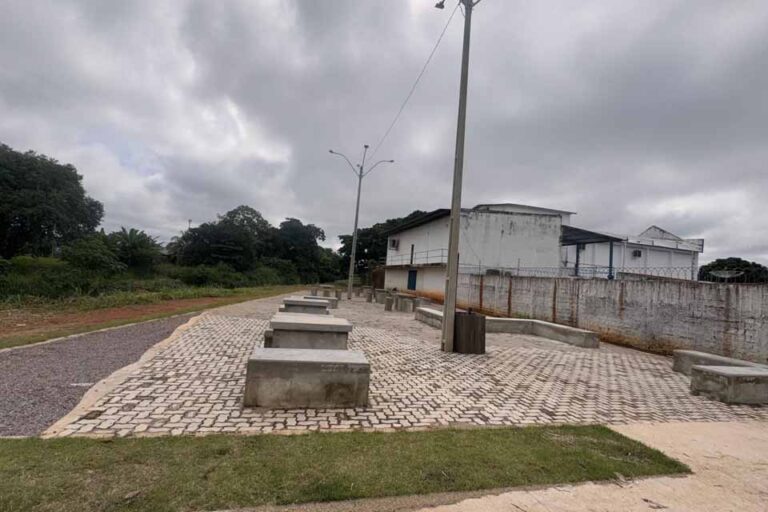 Arborização recupera áreas degradadas e avança no Ecoparque Jacques DeMolay, em Porto Velho