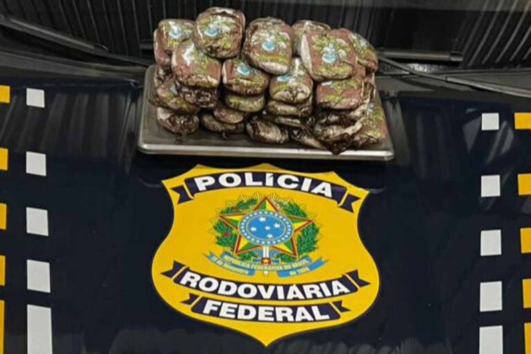 PRF apreende quase 4 kg de haxixe em ônibus interestadual na BR-364, em Pimenta Bueno