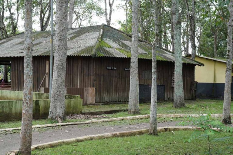 Prefeitura inicia revitalização do Parque Circuito e mantém espaço aberto em Porto Velho