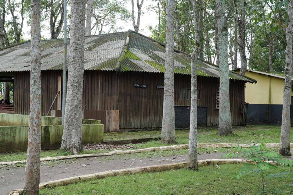 <div style="
                font-size: 18px;
                font-weight: bold;
                color: #0073aa;
                margin-bottom: 5px;
                text-transform: uppercase;
            ">NOTÍCIA BOA</div>Prefeitura inicia revitalização do Parque Circuito e mantém espaço aberto em Porto Velho