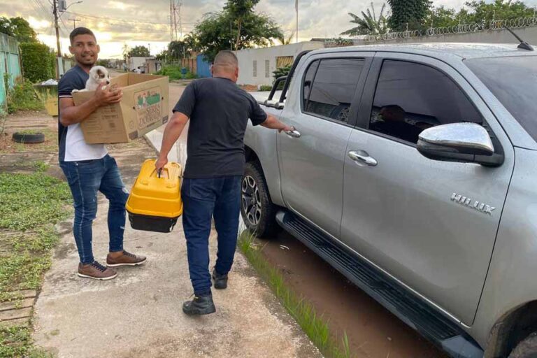 Prefeitura de Porto Velho resgata quatro cães abandonados no bairro Igarapé após denúncia