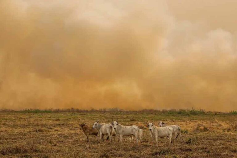 INPE registra 4.347 focos de calor em janeiro e marca dobro da média histórica para o mês