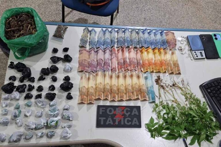 Polícia Militar apreende quase 600 gramas de skank e pés de maconha em residência de Ariquemes