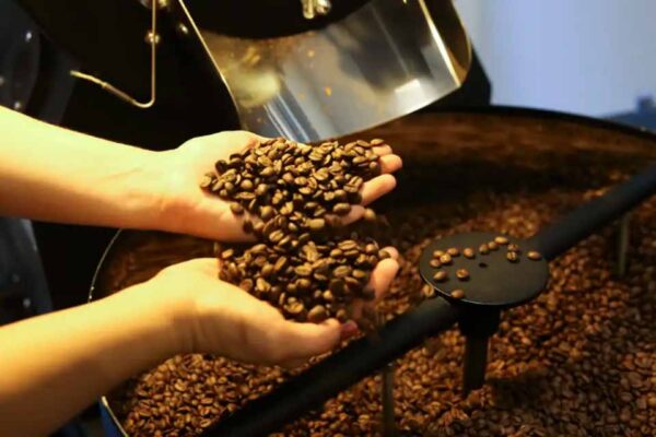 Exportação de café do Brasil recua em volume em 2025, mas alcança maior receita da série histórica