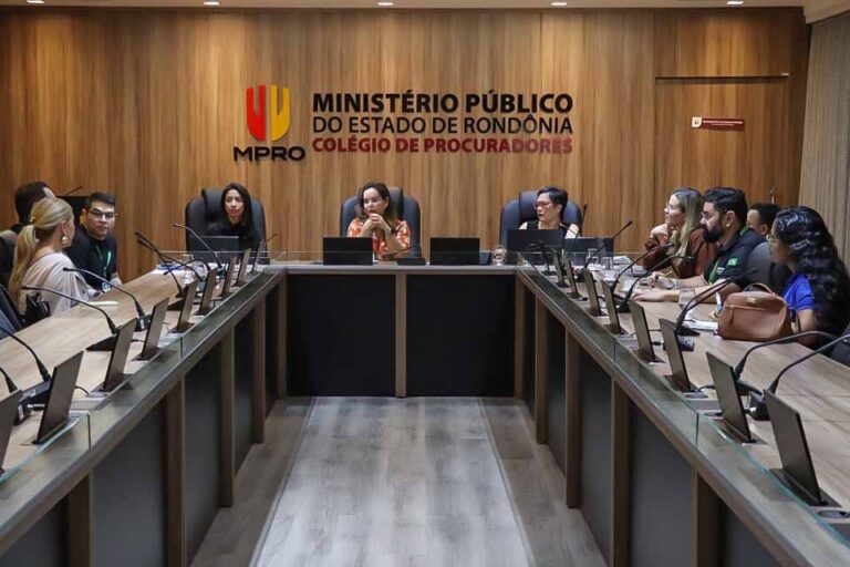 MPRO, DPU e DPE revisam protocolo para busca ativa de crianças órfãs por feminicídio em Rondônia