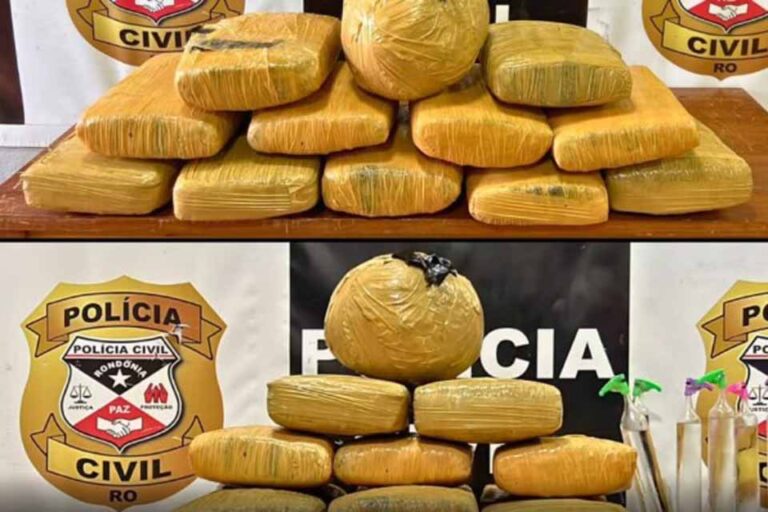 Polícia Civil apreende drogas e identifica núcleo de facção criminosa em Guajará-Mirim