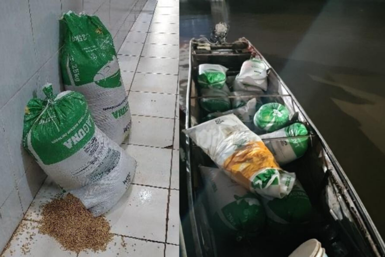 PM de Rondônia impede furto de carga de soja no Porto Organizado durante operação no terminal