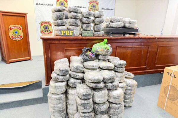 Operação Protetor das Fronteiras apreende 173 kg de maconha durante ação conjunta em São Miguel do Guaporé