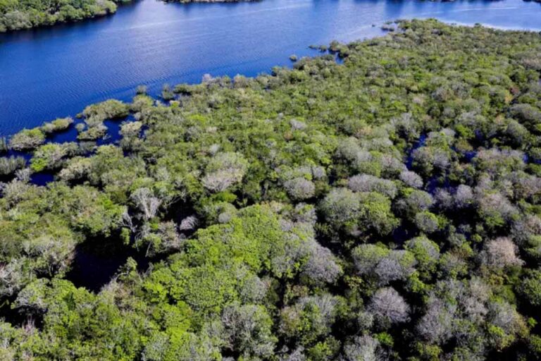 Edital do Fundo Amazônia destina R$ 131,9 milhões para ações de regularização e combate ao desmatamento em 48 municípios