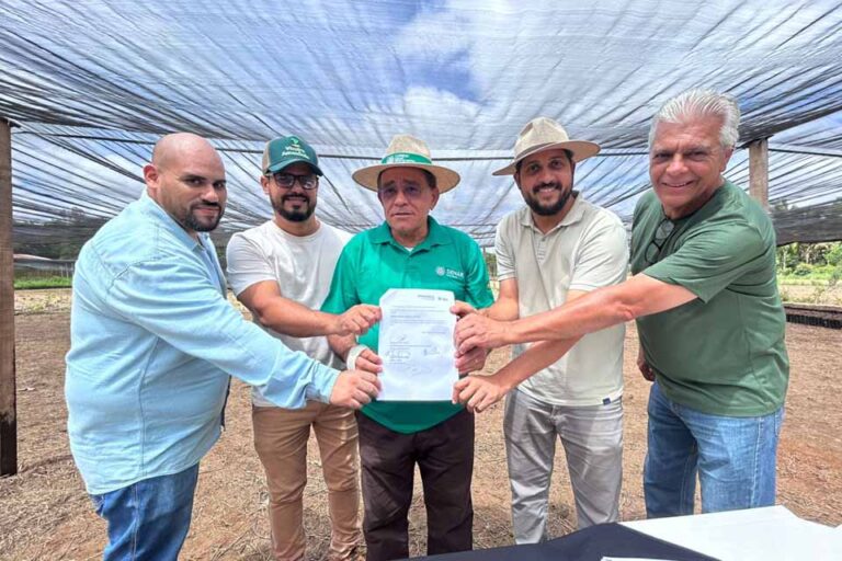 Programa Fomenta Cacau vai produzir mais de 94 mil mudas e atender produtores rurais em Porto Velho
