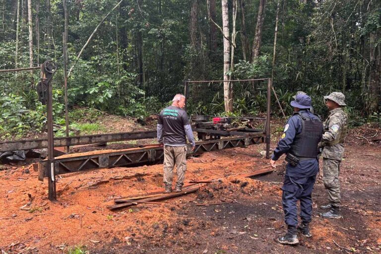 Serraria móvel é apreendida em área da Estação Ecológica Samuel durante fiscalização ambiental